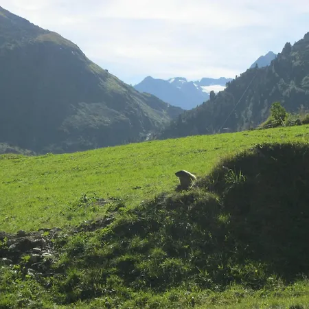 Stubai בית נופש